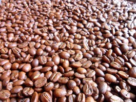 ROBUSTA VIETKET COFFEE